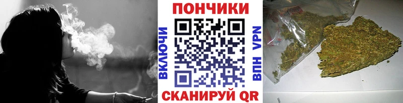 дарнет шоп  Саки  Бошки Шишки индика 